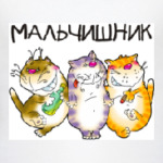 МАЛЬЧИШНИК