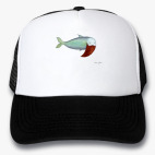 Кепки Trucker