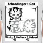 Кот Шрёдингера
