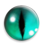 Всевидящее око