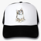 Кепки Trucker