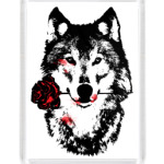 Волк и Роза