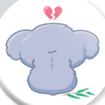 Загадочная Коала