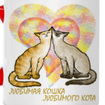 Любимая кошка любимого кота