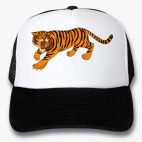 Кепки Trucker