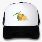Кепки Trucker