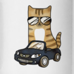 Крутой кот за рулём автомобиля