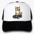 Кепки Trucker