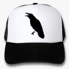 Кепки Trucker