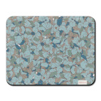 Камуфляжные орхидеи