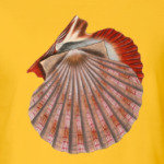 Морская ракушка