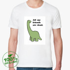 Мужская футболка органик