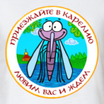 Приезжайте в Карелию