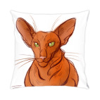 Подушка 35x35 см с цветной обратной стороной Царь