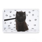 Магнит 7,5 x 5,1 см Котенок