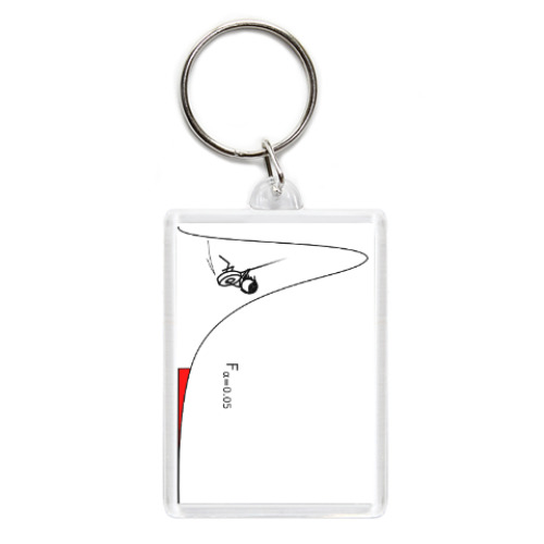 Брелок с принтом Statisticians probably do it