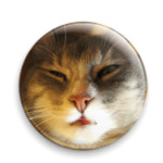 Кот