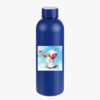 Термобутылка