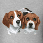 Beagles