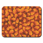 Солнечный ноябрь