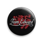 Team Edward