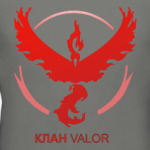 Pokemon Team Клан VALOR