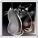 Отражение Кота