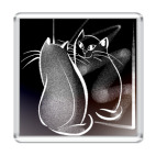 Отражение Кота