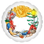 Волшебный мир Нарнии