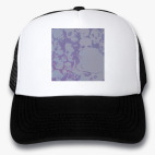 Кепки Trucker