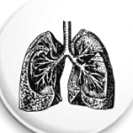  'Anatomy: Lungs'