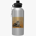 Спортивная бутылка