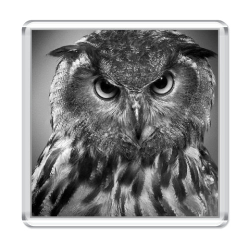 Магнит с принтом сова