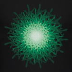 зеленая загадка