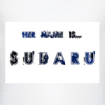  Her name is SUBARU