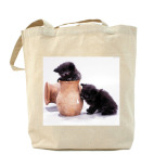 Холщовая сумка