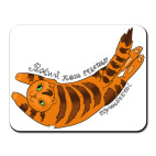 Рыжий кот счастье