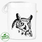 Сова, совушка, мудрые в городе