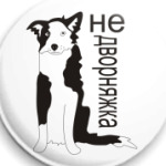  бордер колли