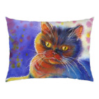 Радужный кот