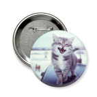 Смазливый кот.