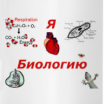 Я люблю биологию