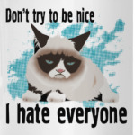 Грустный кот Тард