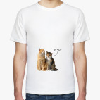 Коты ('И чо?')