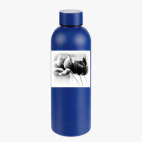 Термобутылка