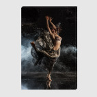 Холст 40 х 60 см Star Dancer