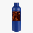 Термобутылка