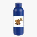 Термобутылка