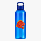 Прозрачная спортивная бутылка