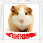  Интернет-хомячок